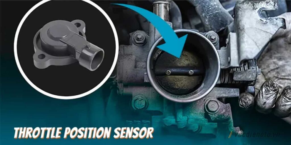 Cảm biến vị trí bướm ga TPS
